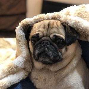 Meet your Posher, Elina